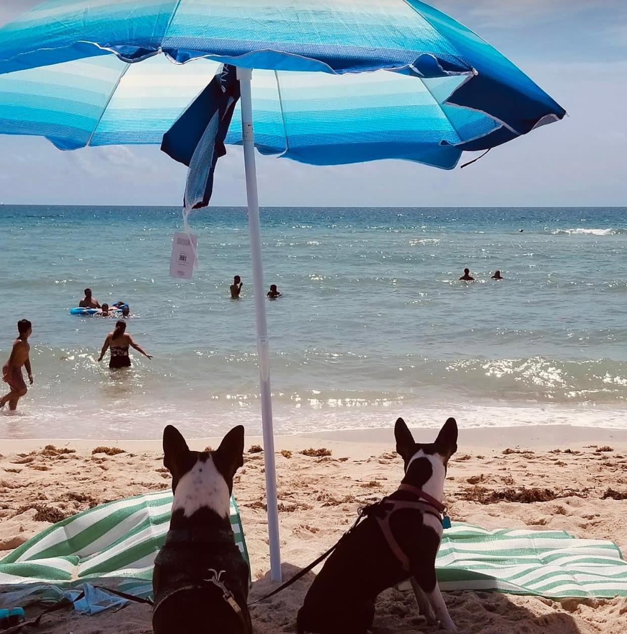 Miami Beach Apartment With Private Patio Free Parking Family Friendly No Pet Fee Exterior foto